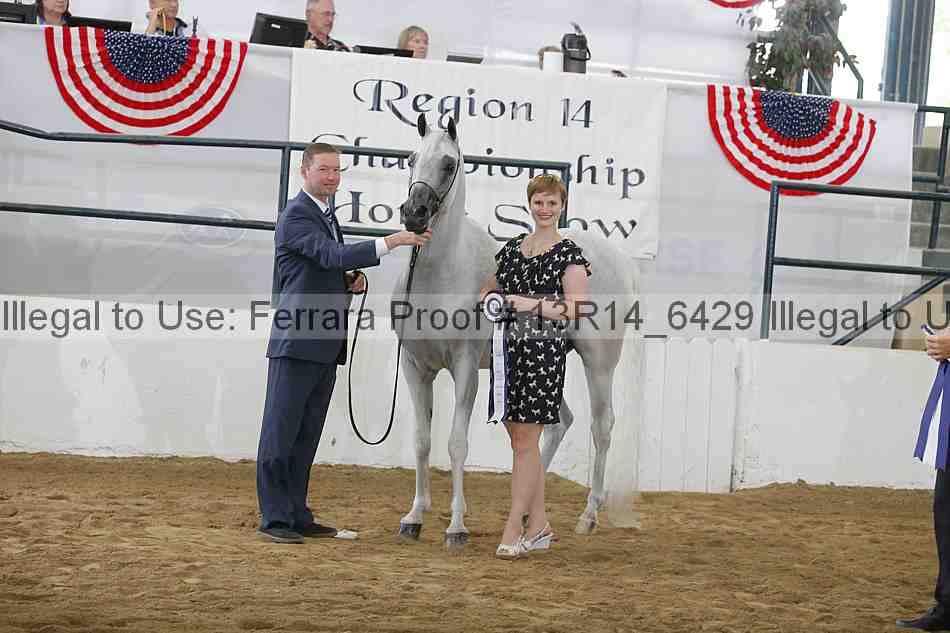 Proof Number 13r14_6429