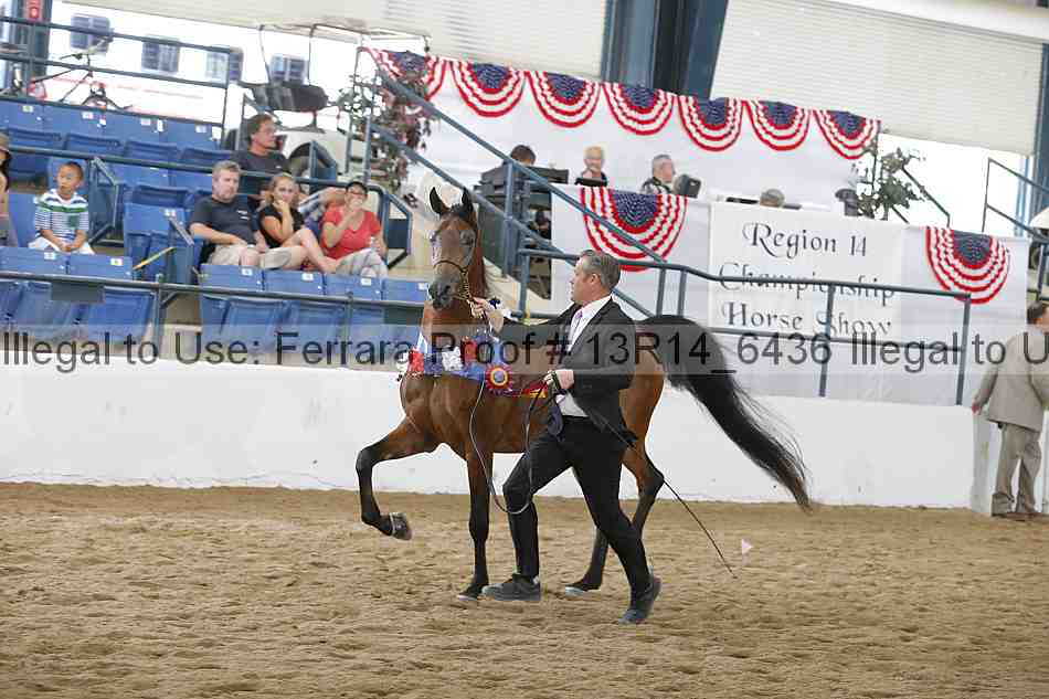 Proof Number 13r14_6436