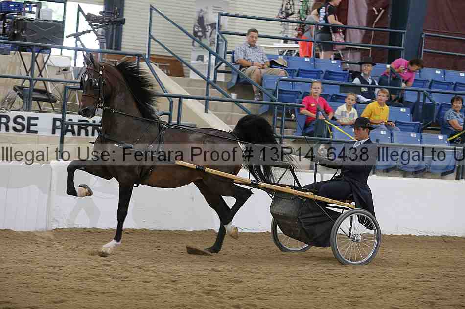 Proof Number 13r14_6438