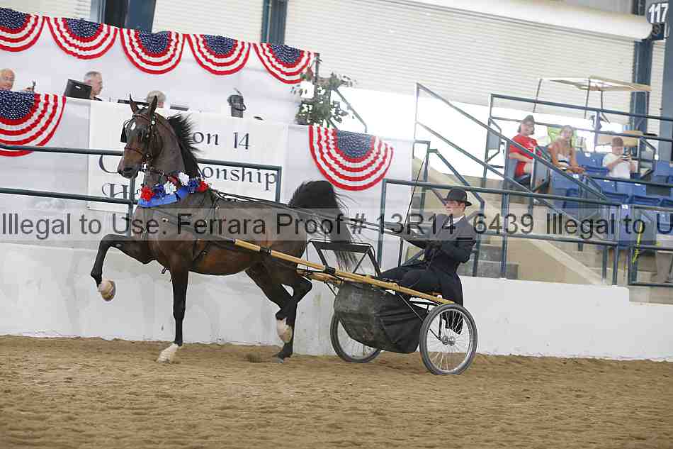 Proof Number 13r14_6439