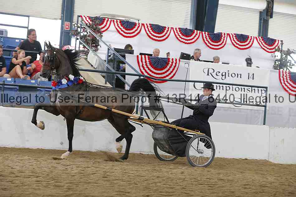 Proof Number 13r14_6440