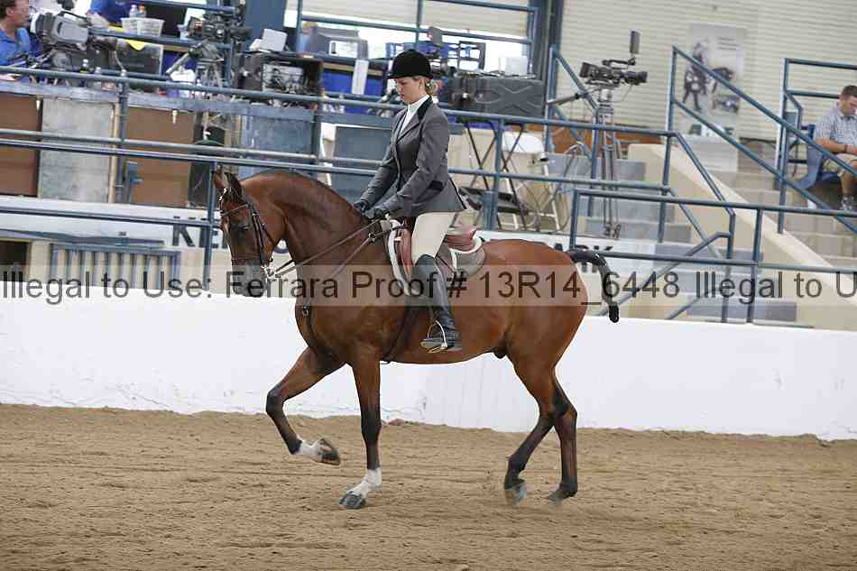 Proof Number 13r14_6448