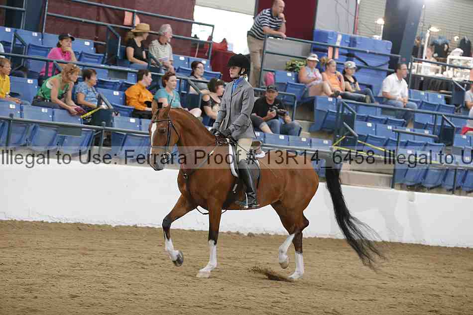 Proof Number 13r14_6458