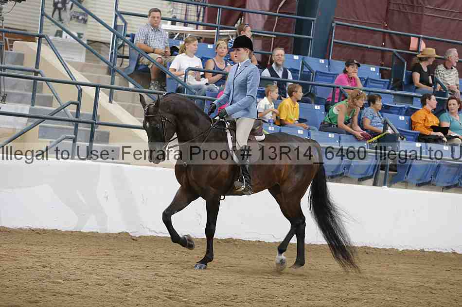 Proof Number 13r14_6460