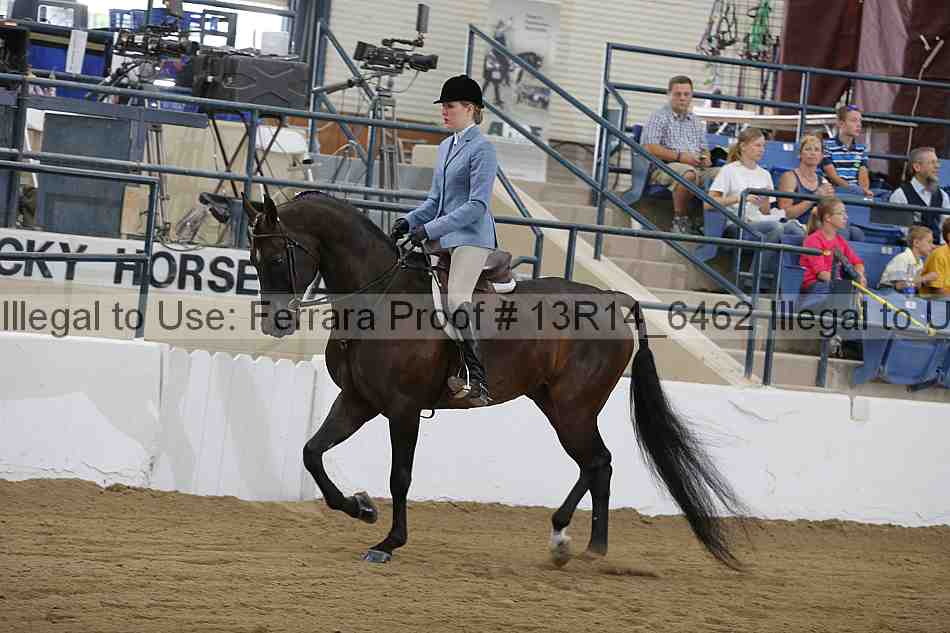 Proof Number 13r14_6462