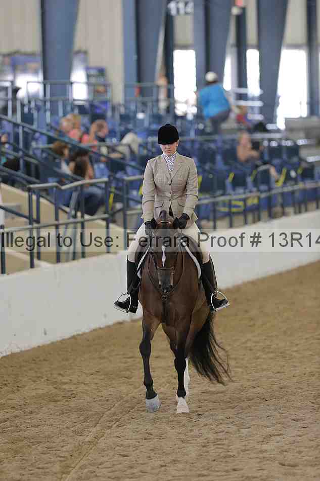 Proof Number 13r14_6463