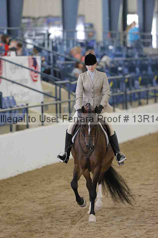 Proof Number 13r14_6465