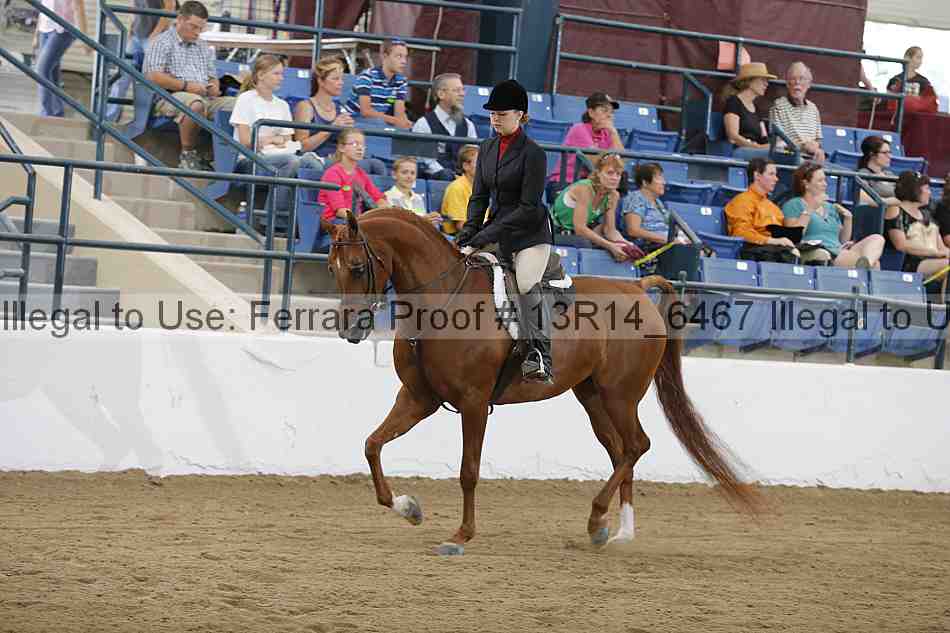 Proof Number 13r14_6467