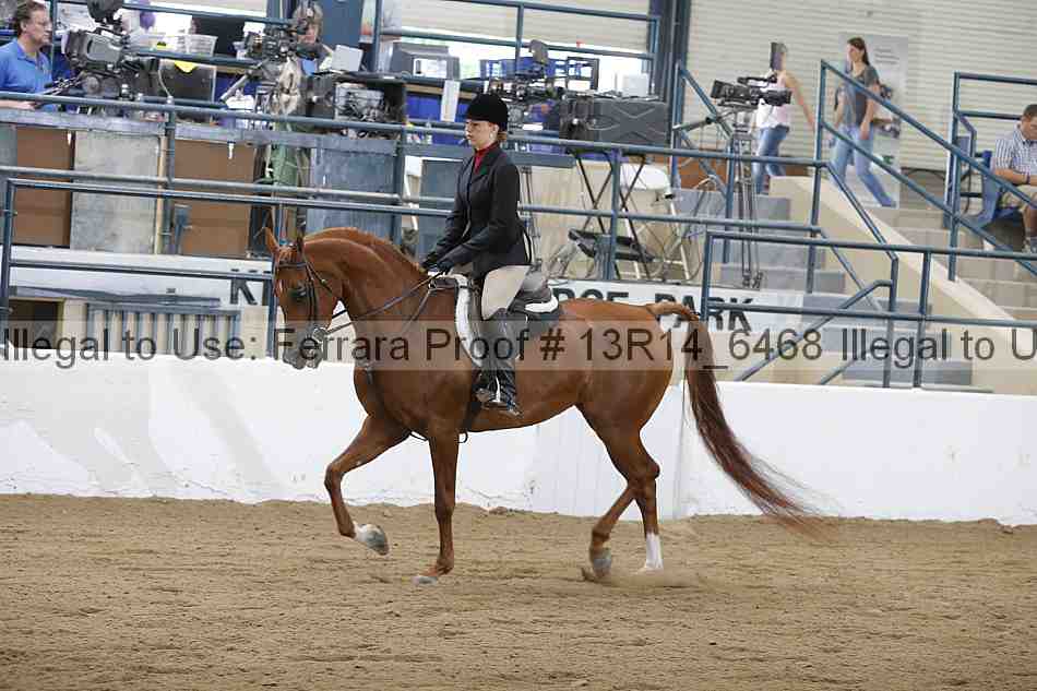 Proof Number 13r14_6468