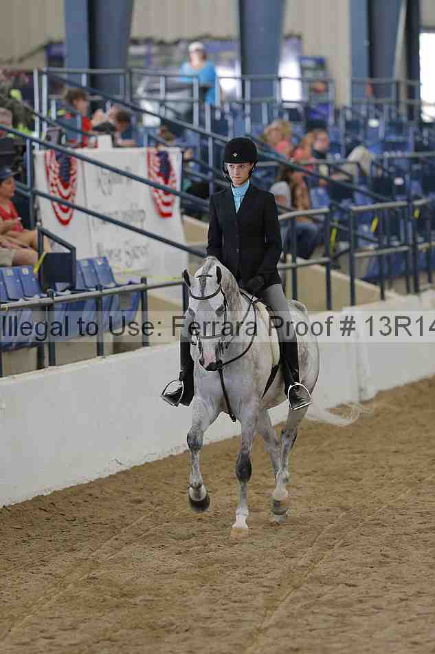 Proof Number 13r14_6469