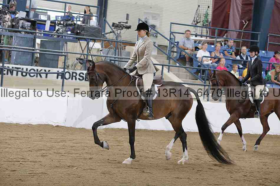 Proof Number 13r14_6470