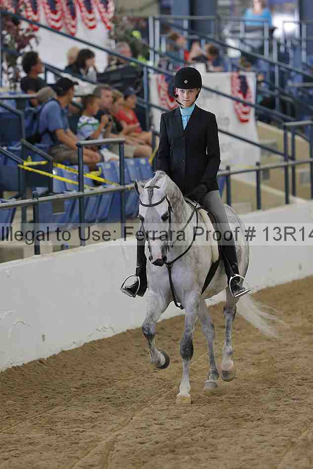 Proof Number 13r14_6471