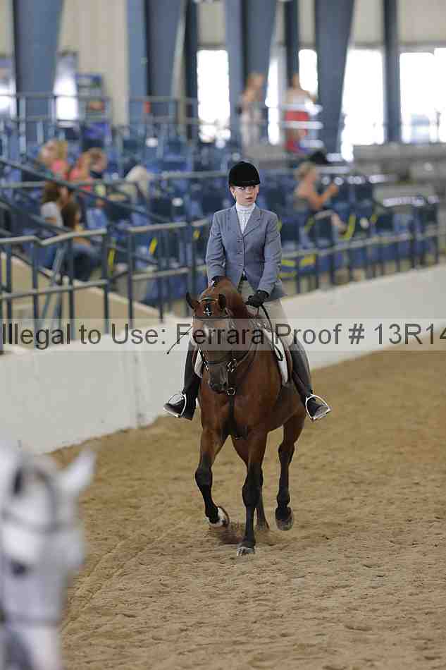 Proof Number 13r14_6472