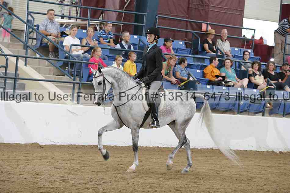 Proof Number 13r14_6473
