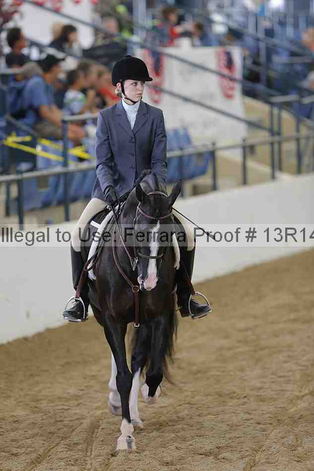 Proof Number 13r14_6474