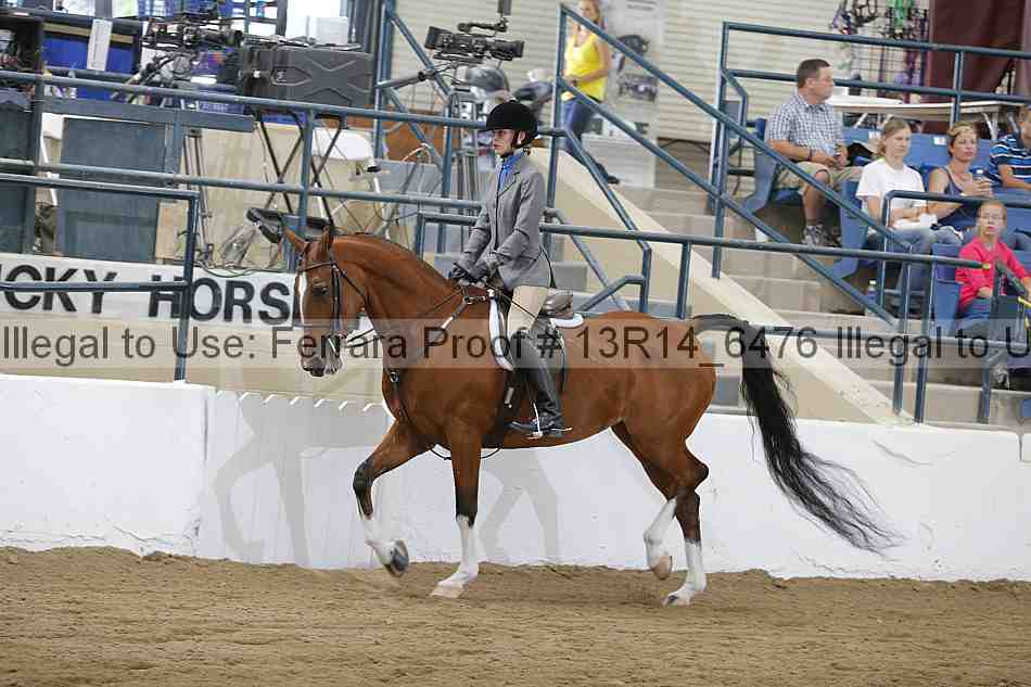 Proof Number 13r14_6476