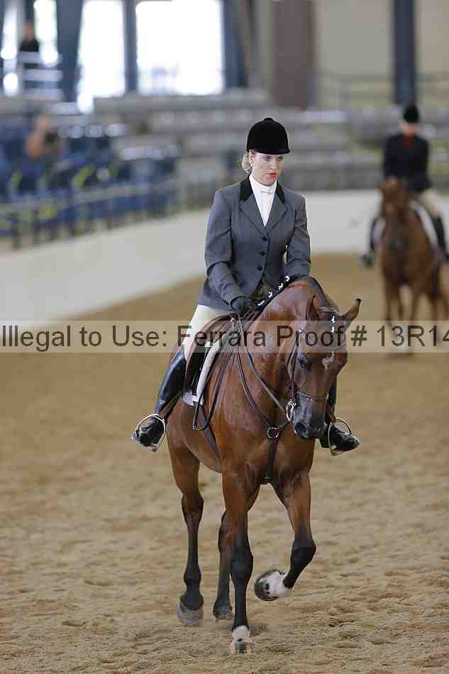Proof Number 13r14_6477
