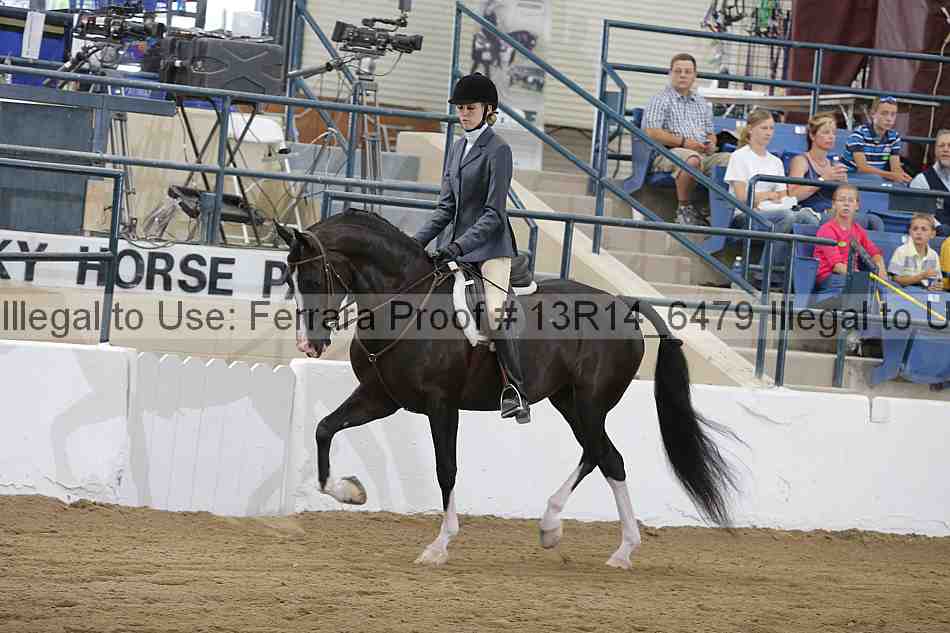 Proof Number 13r14_6479