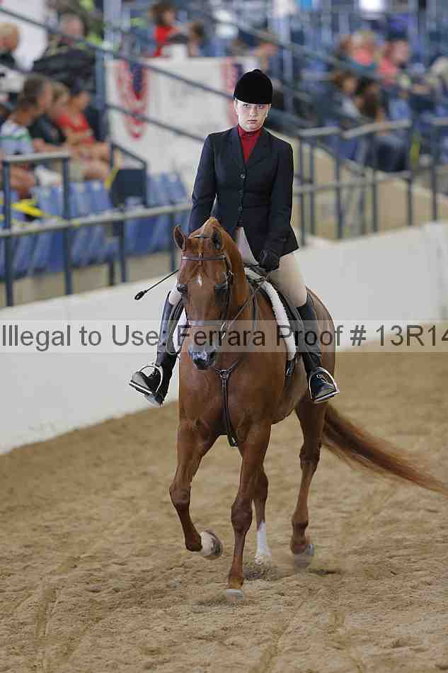 Proof Number 13r14_6480