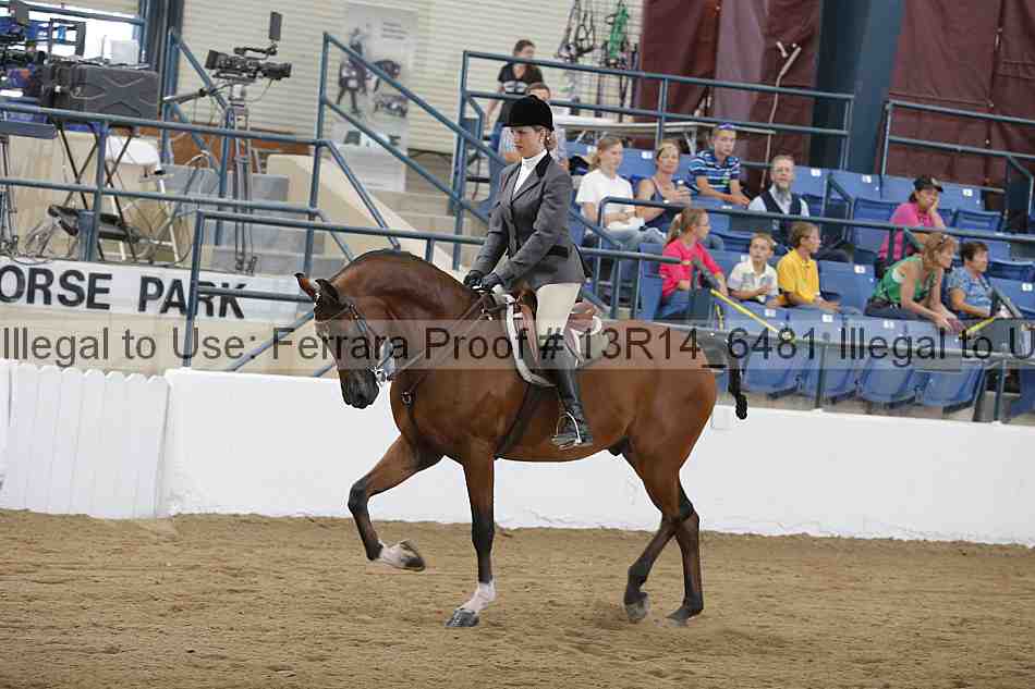 Proof Number 13r14_6481