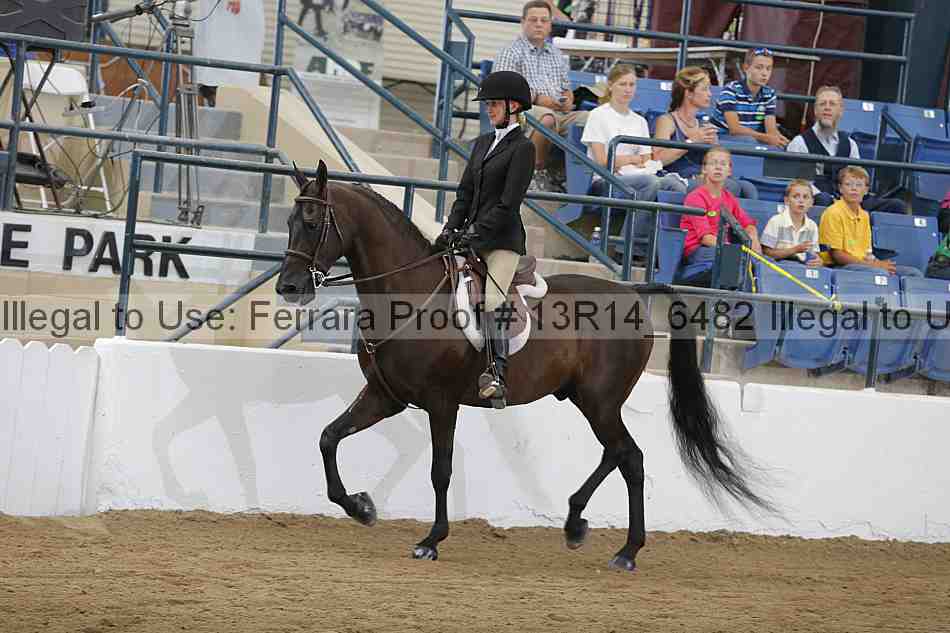 Proof Number 13r14_6482