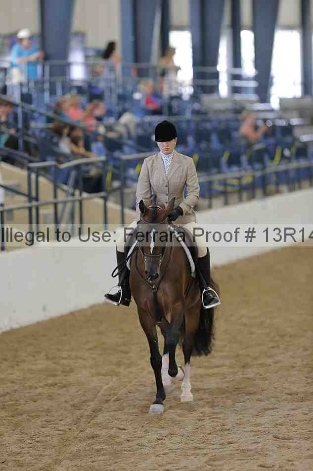 Proof Number 13r14_6483