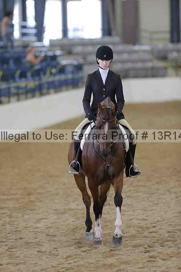 Proof Number 13r14_6484