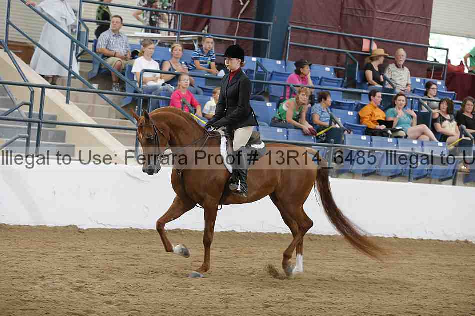 Proof Number 13r14_6485