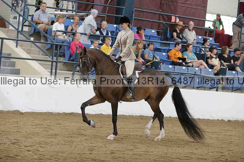 Proof Number 13r14_6487