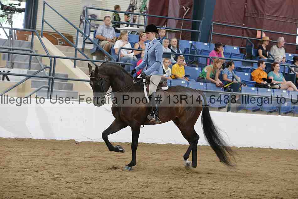 Proof Number 13r14_6488