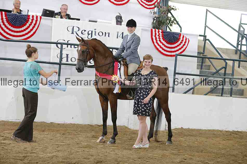 Proof Number 13r14_6491