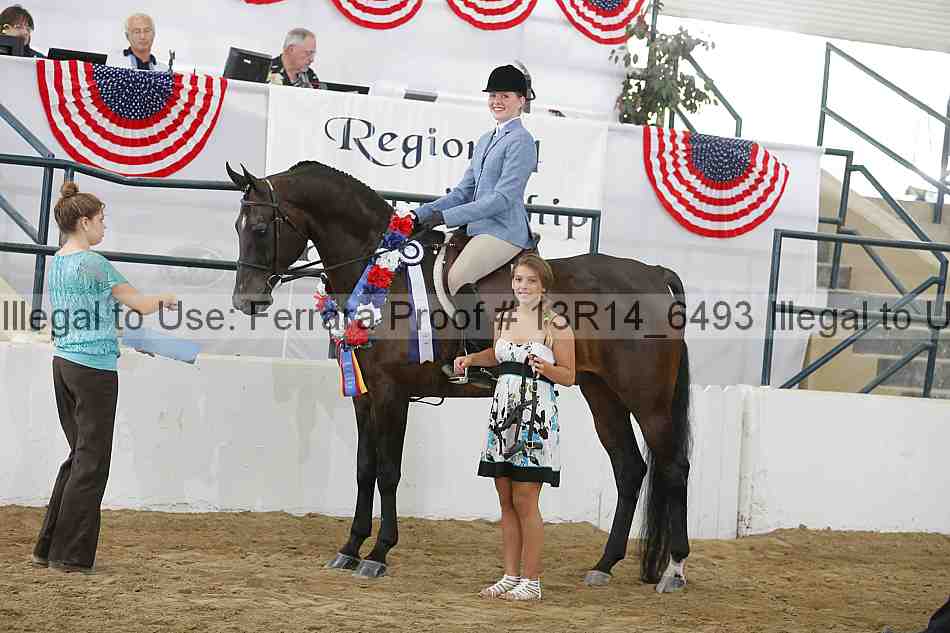 Proof Number 13r14_6493