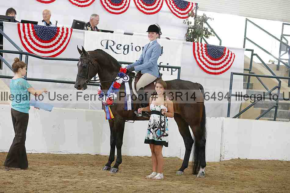 Proof Number 13r14_6494