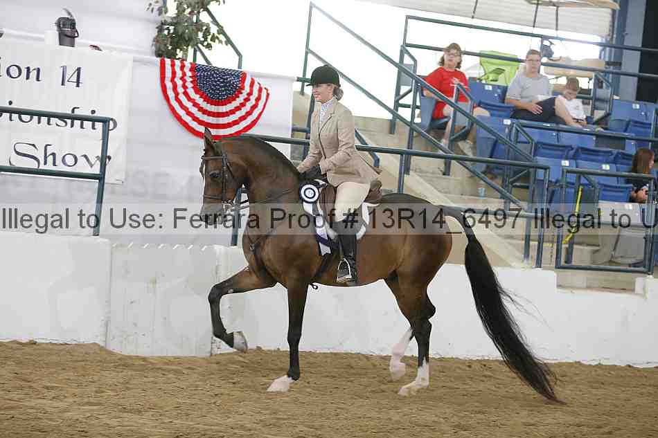 Proof Number 13r14_6497