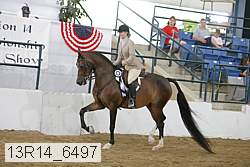 13r14_6497 thumbnail
