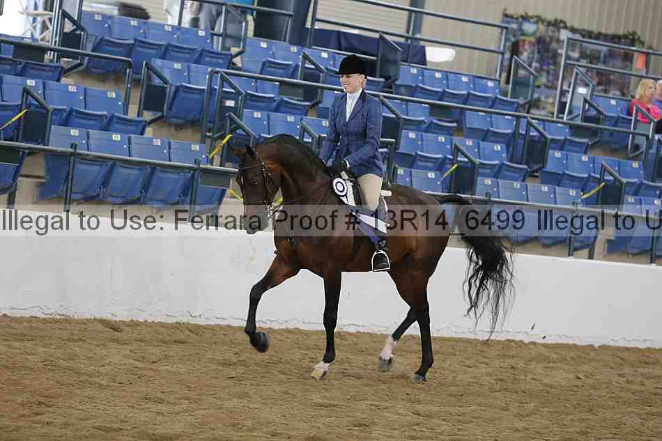 Proof Number 13r14_6499