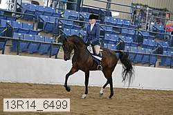 13r14_6499 thumbnail