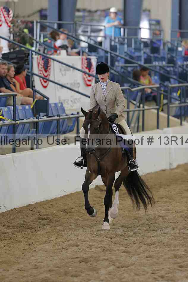 Proof Number 13r14_6500