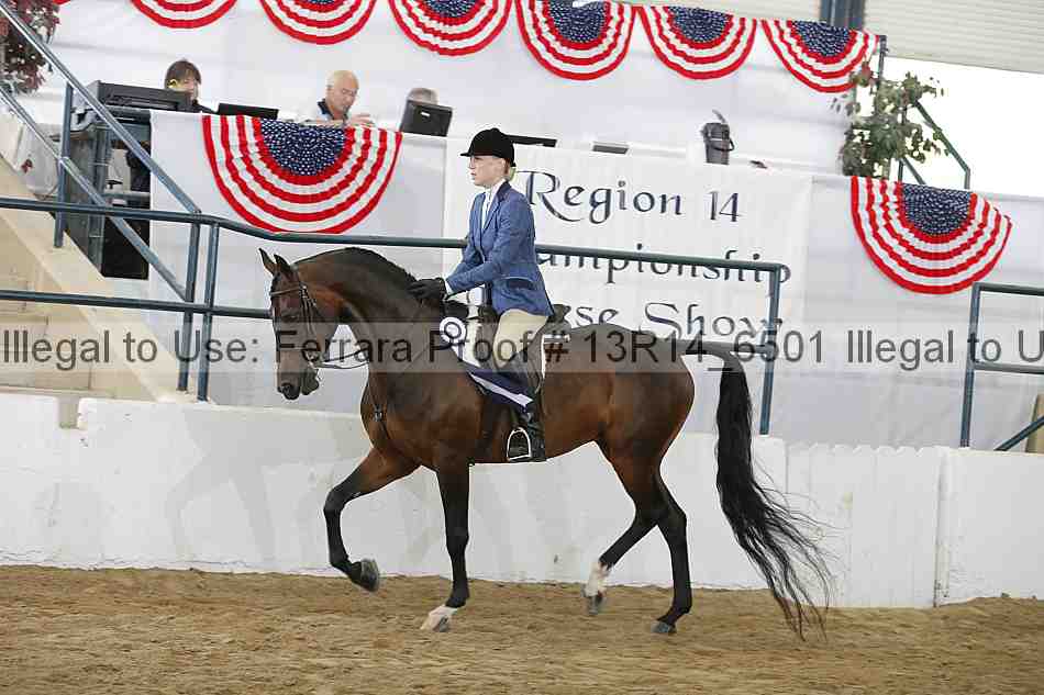 Proof Number 13r14_6501