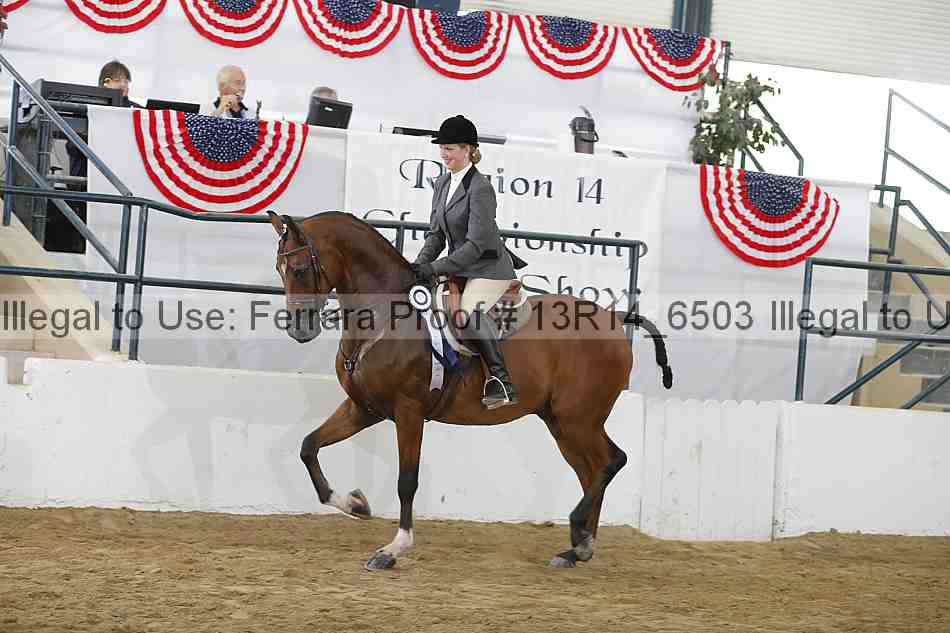 Proof Number 13r14_6503