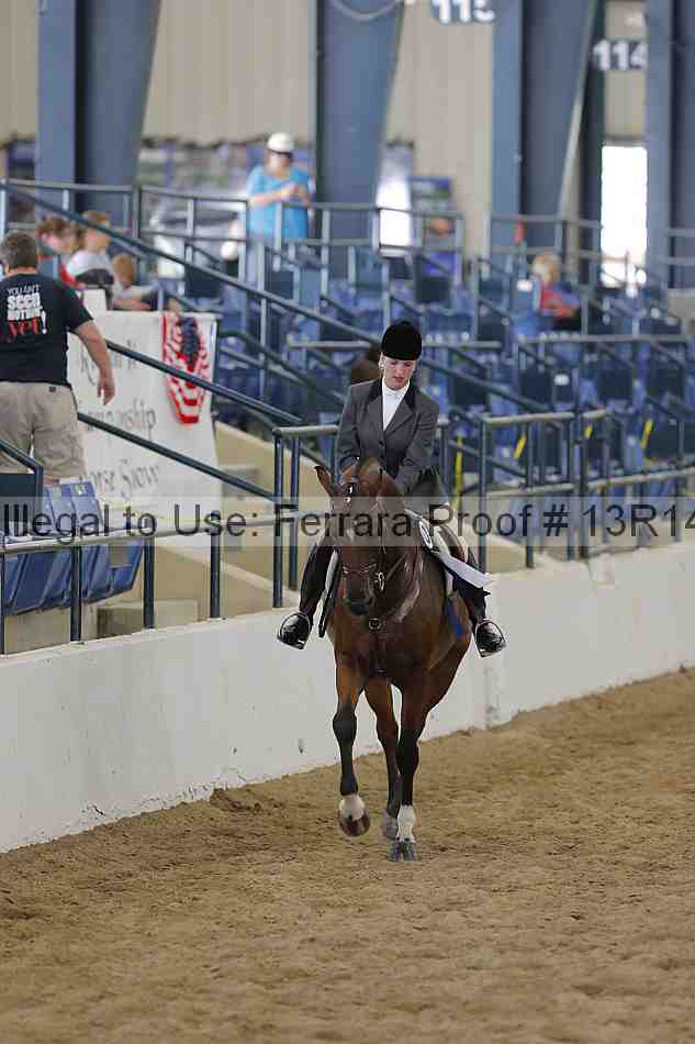 Proof Number 13r14_6506