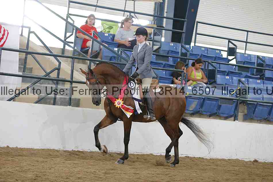 Proof Number 13r14_6507