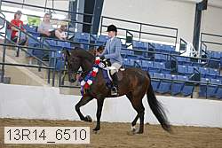 13r14_6510 thumbnail