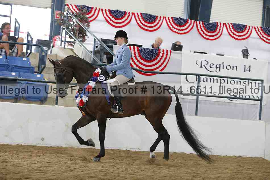 Proof Number 13r14_6511
