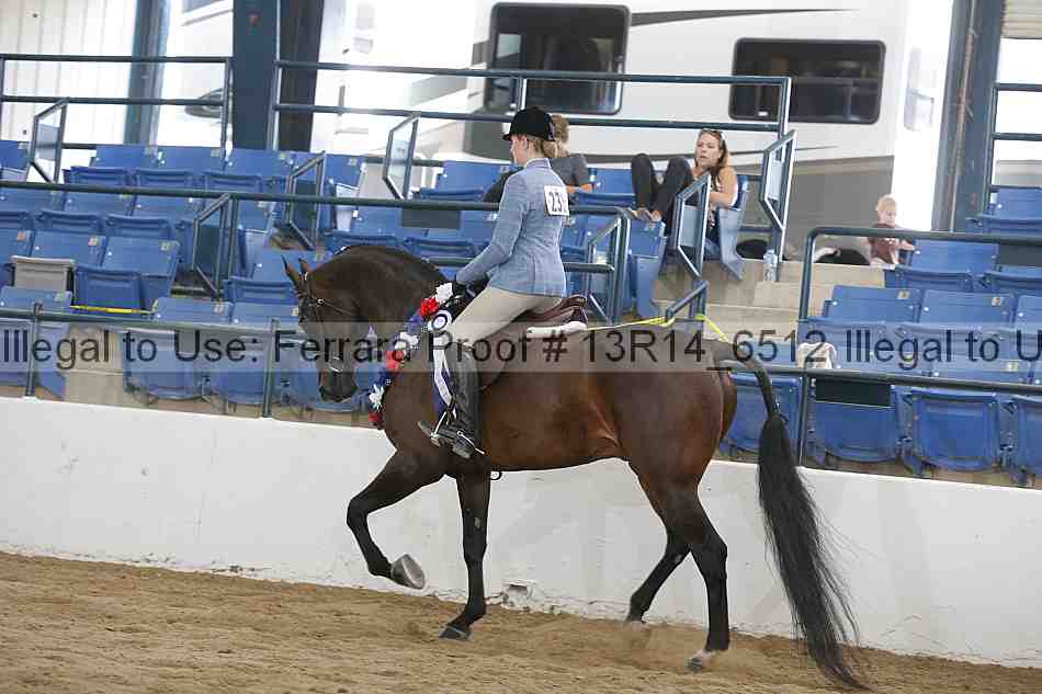 Proof Number 13r14_6512