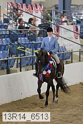 13r14_6513 thumbnail