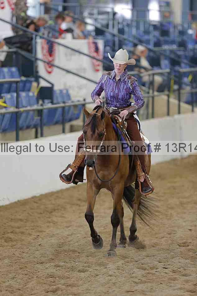 Proof Number 13r14_6553