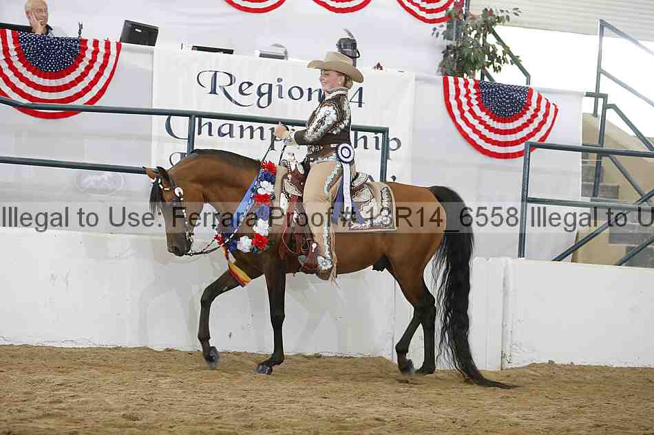 Proof Number 13r14_6558