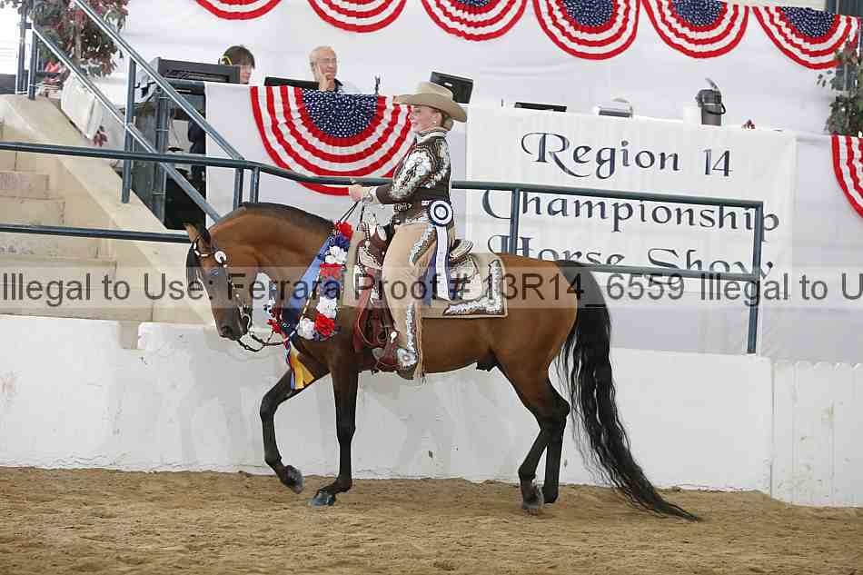 Proof Number 13r14_6559