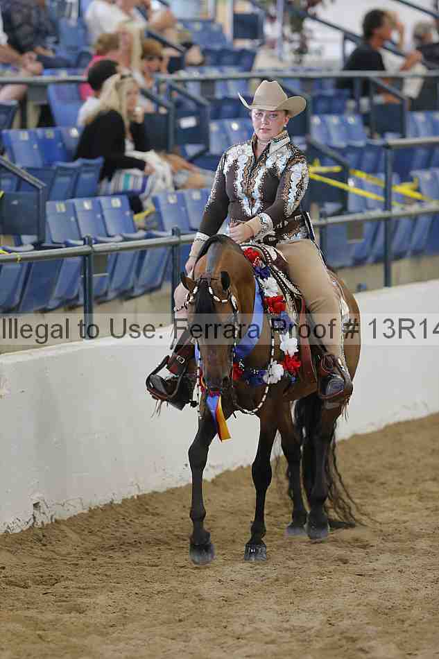 Proof Number 13r14_6561